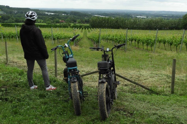 Wines & Tours e-bike Vineyard Tours